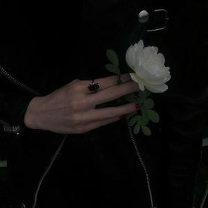 少萝吃大狙段视频可刷网站
